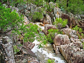 Crows Nest National Park - Tourism Caloundra 0