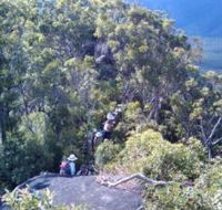 Mia Mia State Forest - Tourism Caloundra