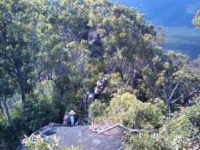 Mia Mia State Forest - Tourism Caloundra 0