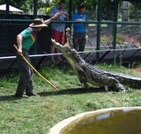 Snakes Downunder Reptile Park and Zoo - Tourism Caloundra