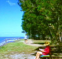 Melaleuca Track - Tourism Caloundra