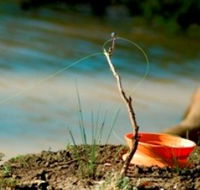 Charleville - Mangalore Warrego River Fishing Spot - Tourism Caloundra