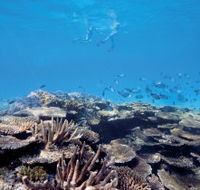 Australian Institute of Marine Science - Tourism Caloundra