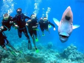 Gotham City Dive Site - Tourism Caloundra 0