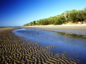 Burrum Coast National Park - Tourism Caloundra 0