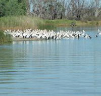 Lake Ross - Tourism Caloundra