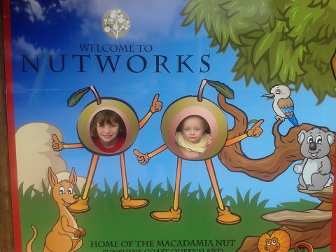 Nutworks - Tourism Caloundra 4