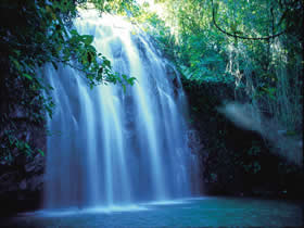 Millaa Millaa QLD Tourism Caloundra