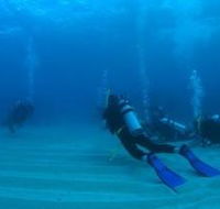 Child Island Dive Site - Tourism Caloundra