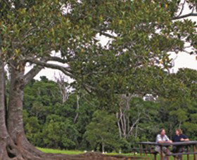Ravensbourne QLD Tourism Caloundra