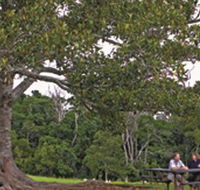 Ravensbourne National Park - Tourism Caloundra
