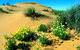 Simpson Desert National Park - thumb 0