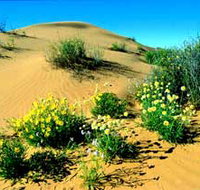 Simpson Desert National Park - Tourism Caloundra