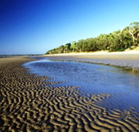 Kinkuna Section - Tourism Caloundra