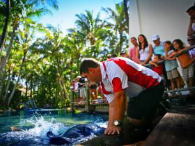 Daydream Island QLD Tourism Caloundra