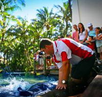 The Living Reef on Daydream Island - Tourism Caloundra