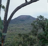 Mount Fox - Tourism Caloundra