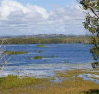Lake Barfield - Tourism Caloundra