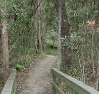 Springwood Conservation Park - Tourism Caloundra