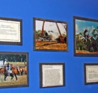 Town Hall Photographic Display - Tourism Caloundra