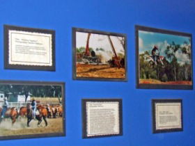 Town Hall Photographic Display - Tourism Caloundra 0