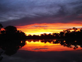 Thomson River - Tourism Caloundra 0