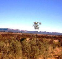 Tambos Wilderness Way - Tourism Caloundra