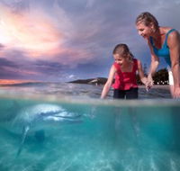 Tangalooma Island Resort - Tourism Caloundra