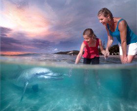 Tangalooma Island Resort - Tourism Caloundra 0