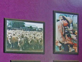 Charleville Photographic Display - Tourism Caloundra 0