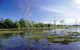Tyto Wetlands - thumb 0