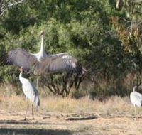 Bulloo River Walk - Tourism Caloundra