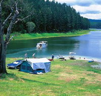 Danbulla National Park and Danbulla State Forest - Tourism Caloundra