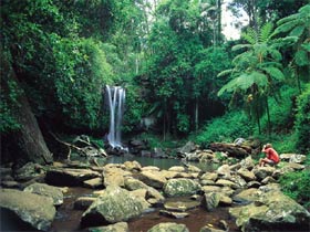 Tamborine National Park - Tourism Caloundra 0