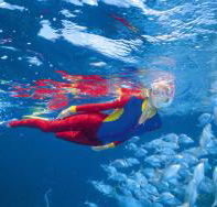 Outer Rocks Dive Site - Tourism Caloundra
