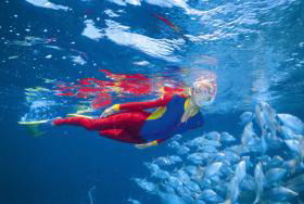 Outer Rocks Dive Site - Tourism Caloundra 0
