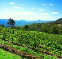 Preston Peak Wines - Tourism Caloundra