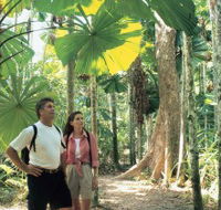 Licuala State Forest - Tourism Caloundra