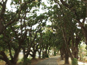 Eimeo QLD Tourism Caloundra
