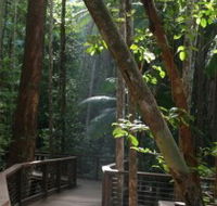 Basin Lake Track - Tourism Caloundra