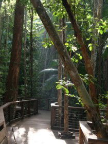 Basin Lake Track - Tourism Caloundra 0