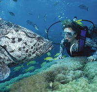 Pelorus Island - Tourism Caloundra