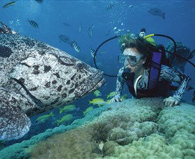Pelorus Island - Tourism Caloundra 0