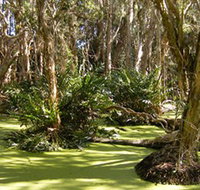 Arkarra Lagoons and Tea Gardens - Tourism Caloundra