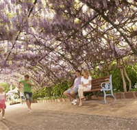 Laurel Bank Park - Tourism Caloundra