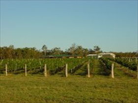 Kingsley Grove Estate - Tourism Caloundra 0