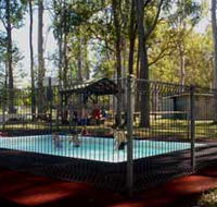 Teddington Weir and Picnic Reserve - Tourism Caloundra