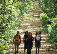 Wet Tropics Great Walk - Tourism Caloundra