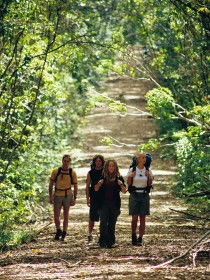 Wet Tropics Great Walk - Tourism Caloundra 0