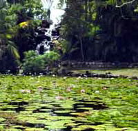 Queens Park Waterfall - Tourism Caloundra